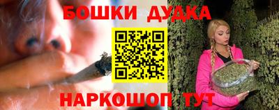 крисы Ставрополь