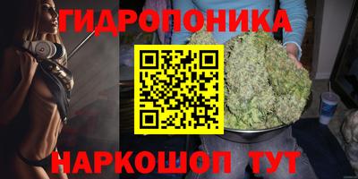 крисы Ставрополь