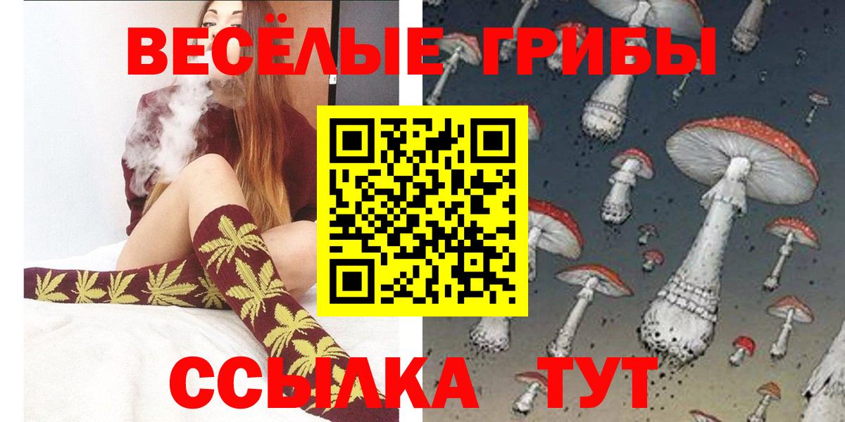 Псилоцибиновые грибы Psilocybine cubensis Чусовой